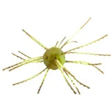 Strike King Tumbleweed Dice Bait Summer Craw Salted